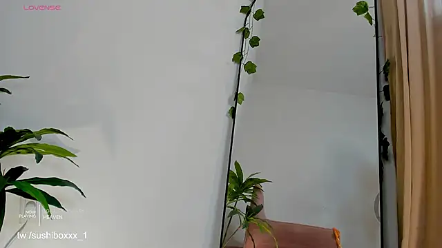 sushiboxxx Live XXX-chat