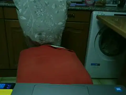 VeneRedのウェブカメラショー