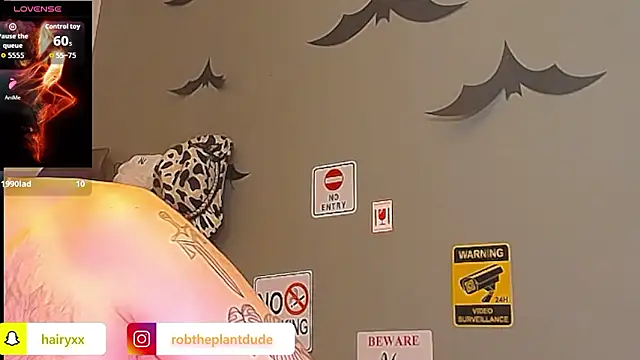 HairyRobxxx: вебкам-шоу