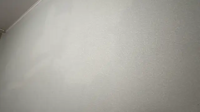 AyanamiPepe live XXX chat