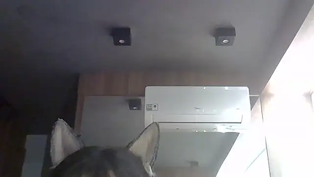 SkinnyKitten Live XXX Chat