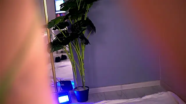 ElaraShine 라이브 XXX 채팅