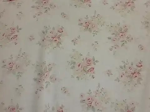 sarathchandru 웹캠 쇼