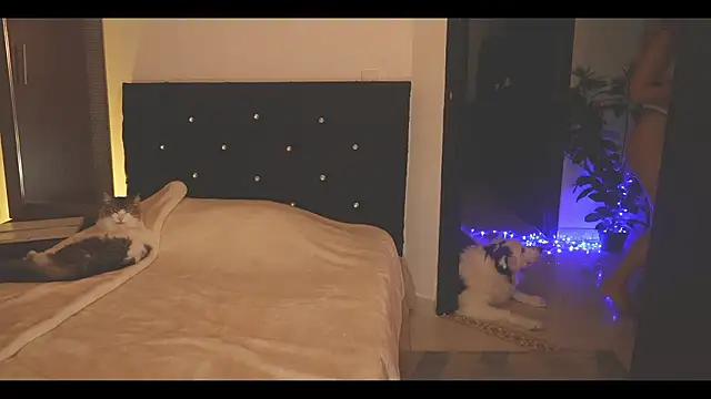 LorenRosse 即時 XXX 聊天