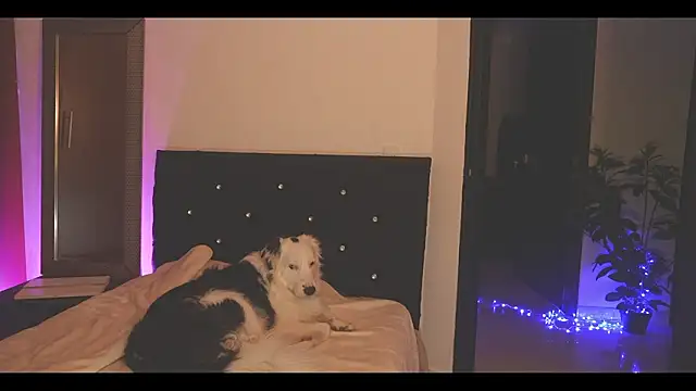 Živý XXX chat LorenRosse