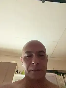 Show de webcam de dogfrota