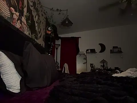 AshenRoe 即時 XXX 聊天