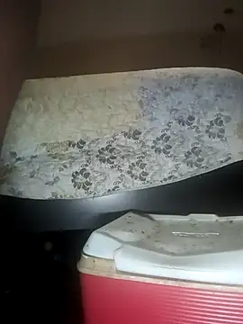 Show Webcam de biggreen850