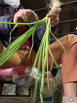 YANINA120 webkamerás műsora