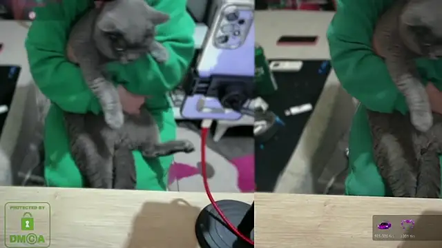 squirtgame Live XXX-chat