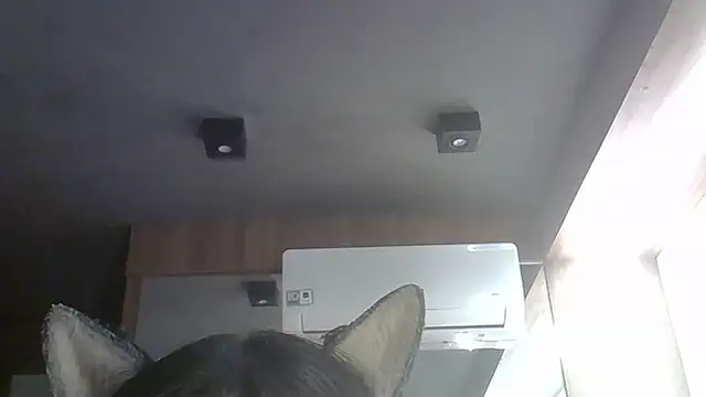 SkinnyKitten élő XXX-chatje