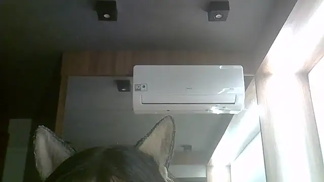 SkinnyKitten Chat XXX live