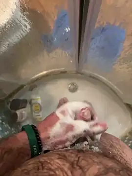 lululul123 网络视讯  表演