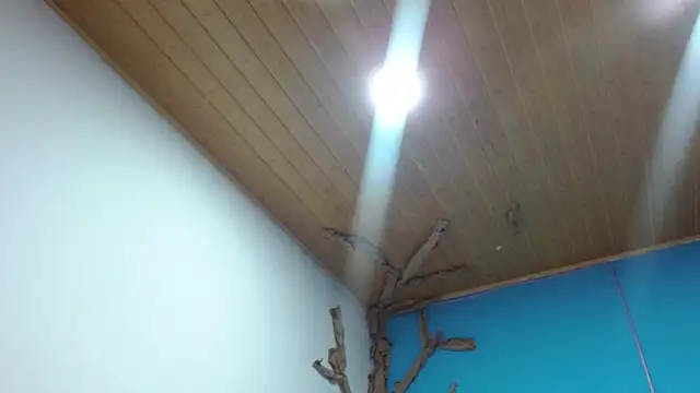 Andrea_deepsloppy 即時 XXX 聊天