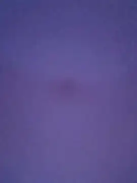 sedutorasex Live XXX Chat