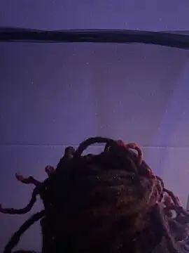 ThickTattedLatina – Live XXX-chat