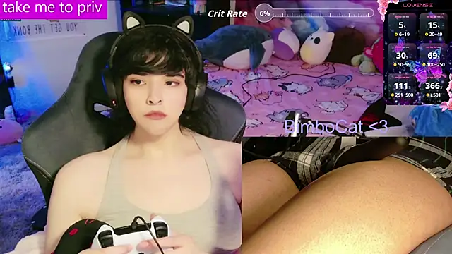 BimboCat: διαδικτυακό σόου στην κάμερα