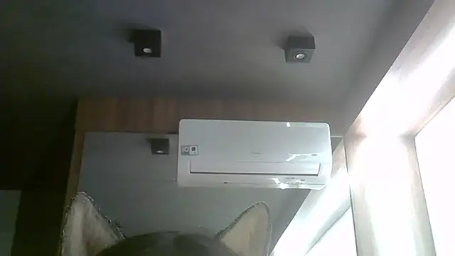 SkinnyKitten: απευθείας συνομιλία ΧΧΧ