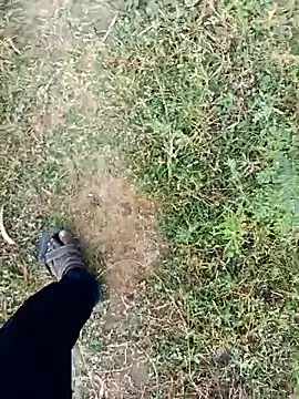 dolphiinn: вебкам-шоу