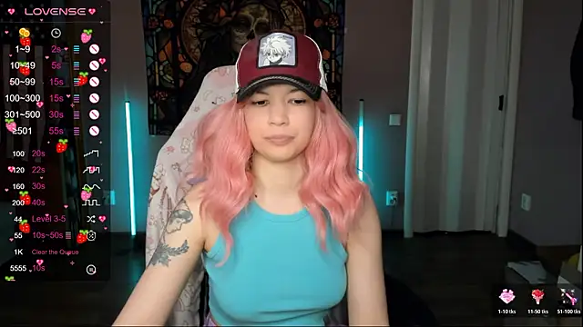 Project_hisokan Webbikameraesitys