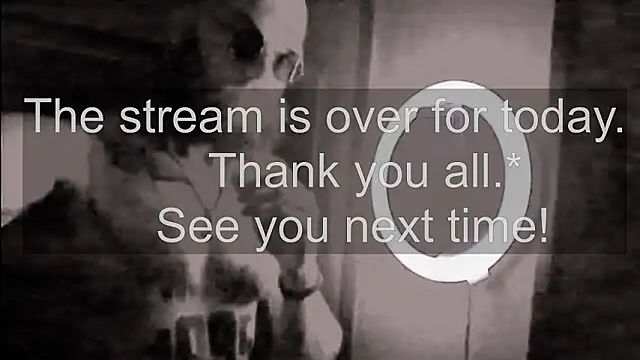 bulatov_xx 웹캠 쇼