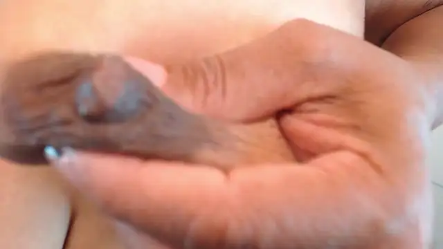 Miia_Rosee_: онлайн-секс-чат