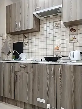 โชว์เว็บแคมของ SalientClean