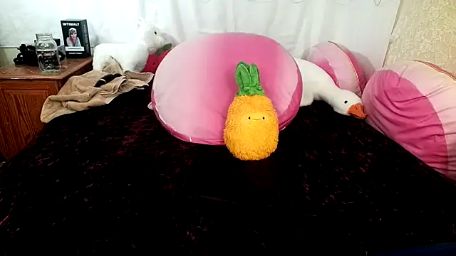 GamerGirlRoxyAndLee: διαδικτυακό σόου στην κάμερα