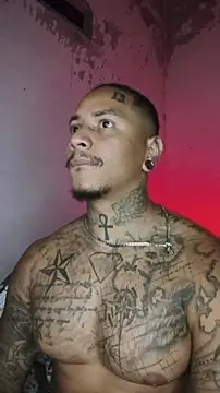 David_tatto1 élő XXX-chatje