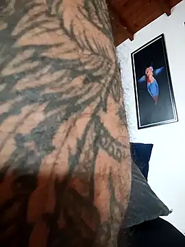 SilvaBranko's Webcam Show