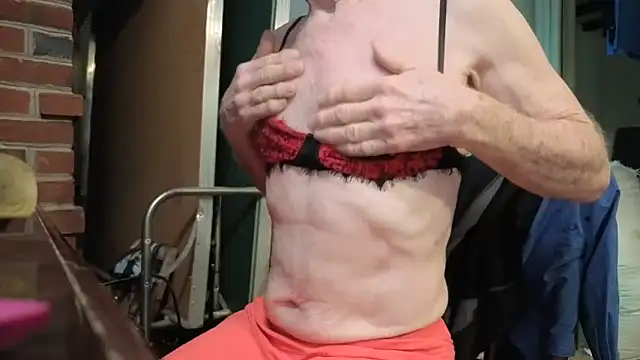 Show webcam de CDforU