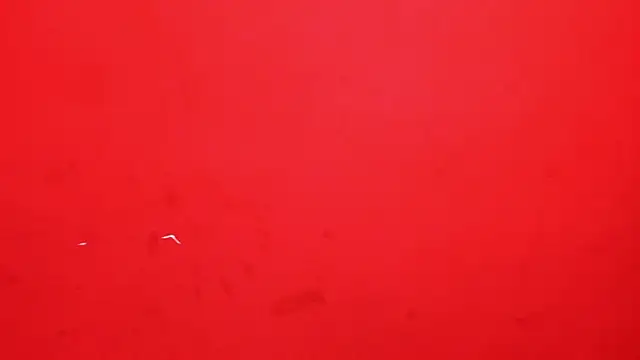 Charlotte_Bms7 Chat XXX in diretta