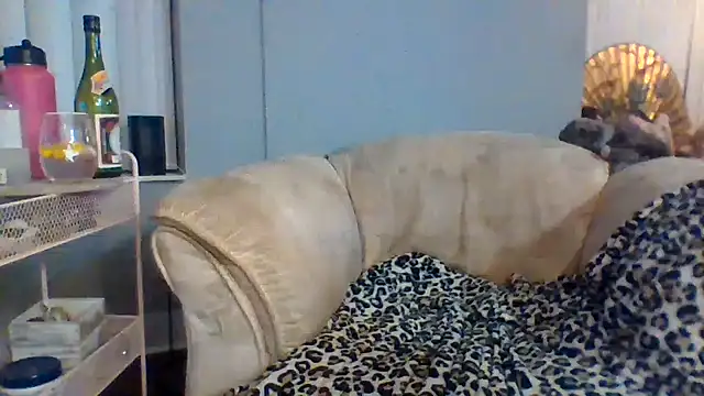 Онлайн чат XXX BettyCock