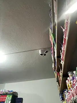 Онлайн чат XXX lannabellx