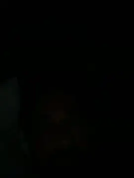 pbocam Live XXX-chat