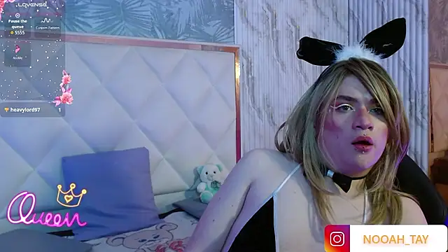 NOOAH_TAY live XXX chat