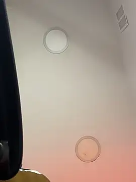 B_Wildのウェブカメラショー