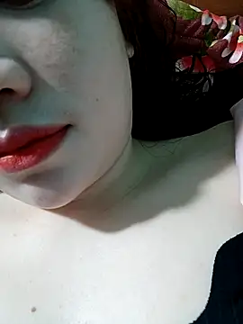 lylinhjim – Kamerová šou