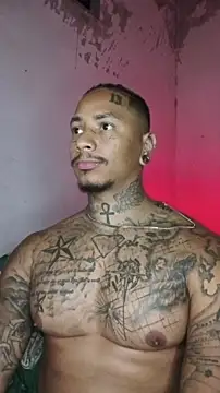 David_tatto1 웹캠 쇼