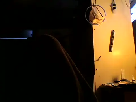 slutvikin Live XXX chat