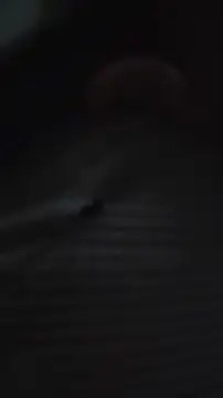 Chatroom XXX en direct de BlueCollarCouple