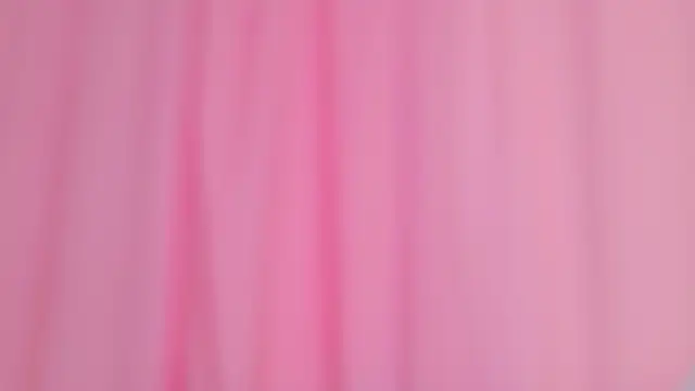 MeowthLiluのウェブカメラショー