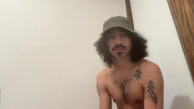 renspunksn Webbikameraesitys