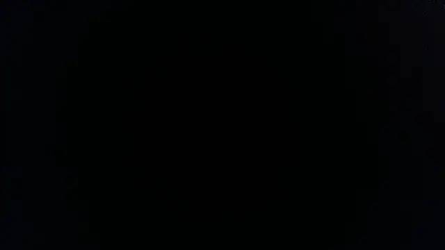 palidin1 Live XXX Chat