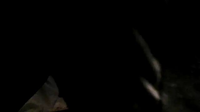 RickDaDickDickerson: онлайн-секс-чат