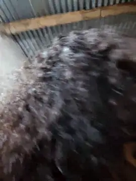 XXX chat uživo modela Ava89