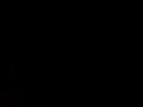 Show webcam de tarra122