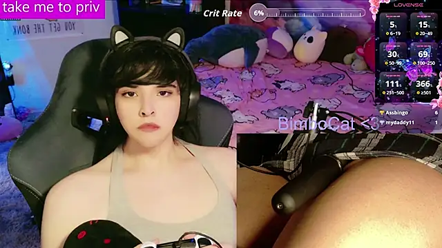 BimboCat Show in webcam