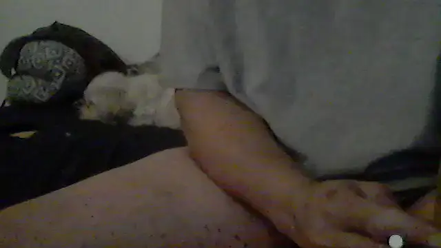 Show Webcam de Silencio26