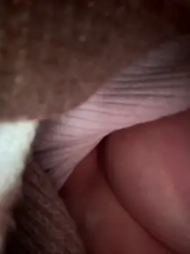 eveangelll 现场XXX聊天